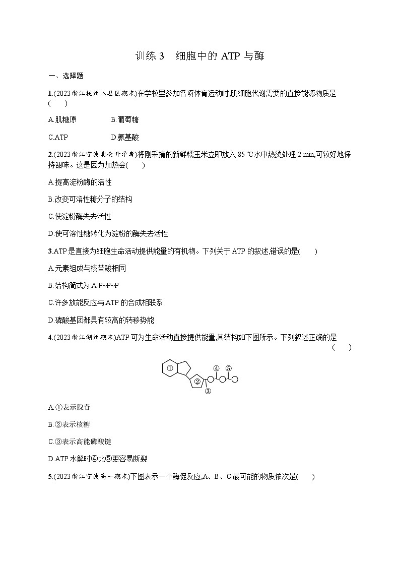 高中生物学考复习3细胞中的ATP与酶练习含答案第1页