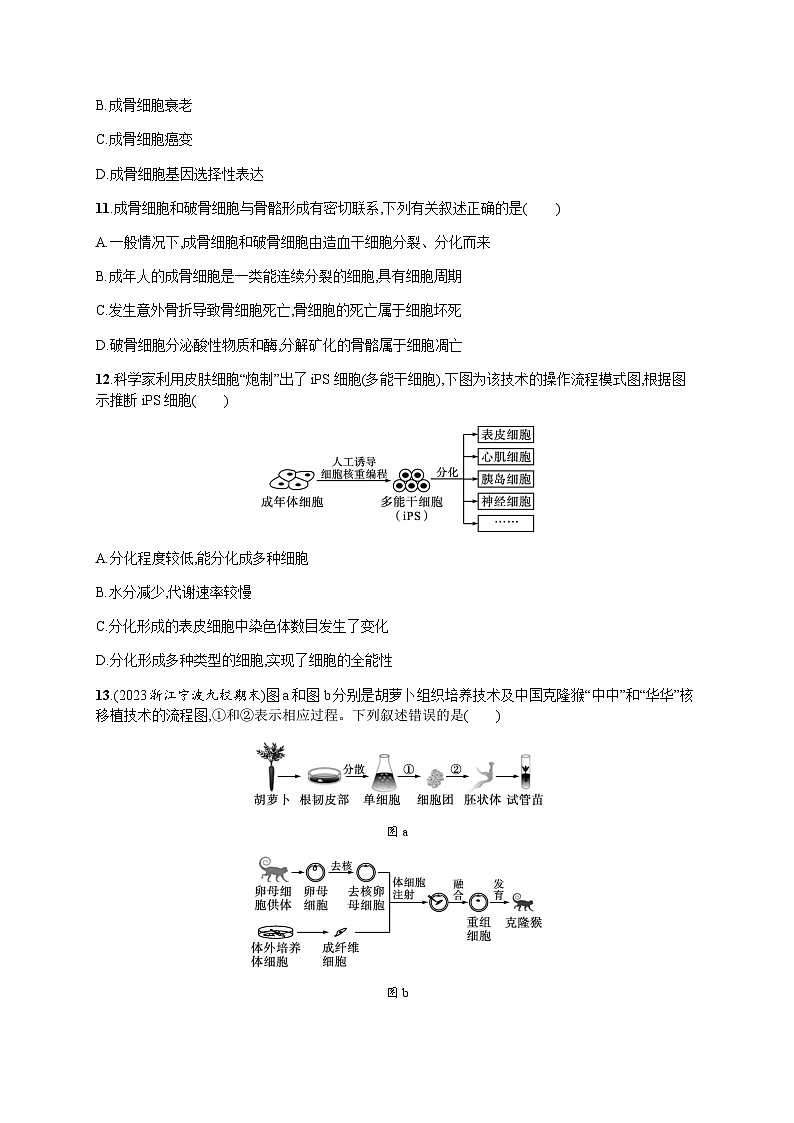 高中生物学考复习8细胞分化、癌变、衰老及凋亡练习含答案第3页