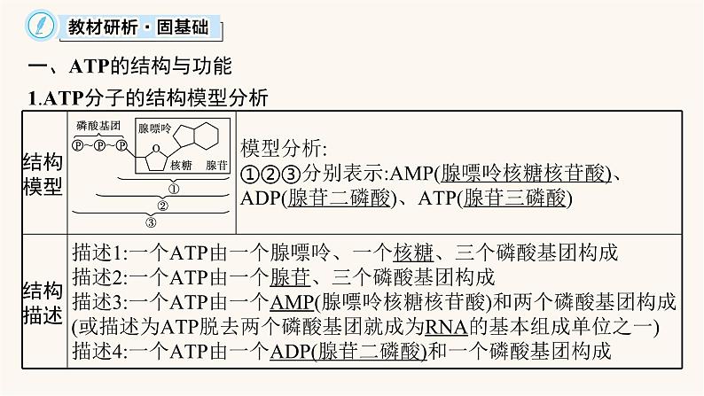 高中生物学考复习专题突破3细胞中的ATP与酶课件05