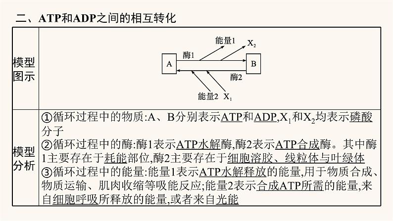 高中生物学考复习专题突破3细胞中的ATP与酶课件07