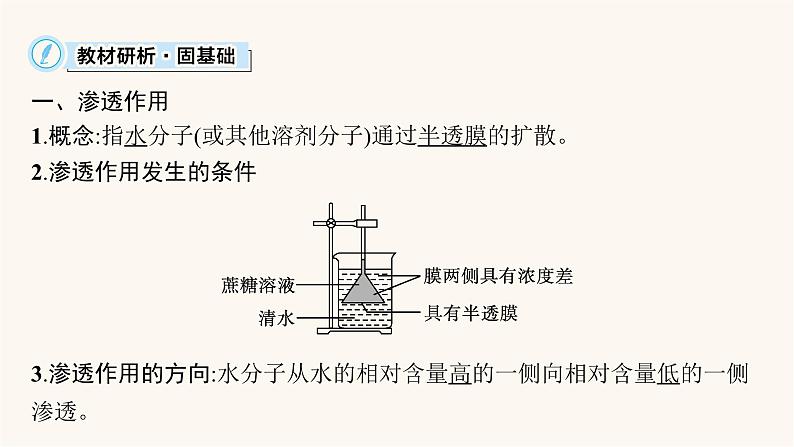 高中生物学考复习专题突破4物质出入细胞的方式课件第5页