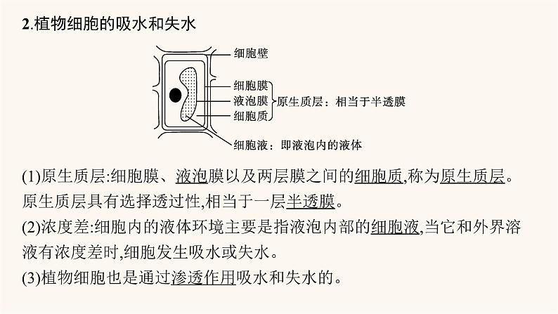 高中生物学考复习专题突破4物质出入细胞的方式课件第7页