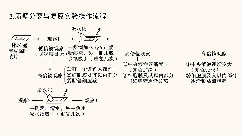 高中生物学考复习专题突破4物质出入细胞的方式课件第8页