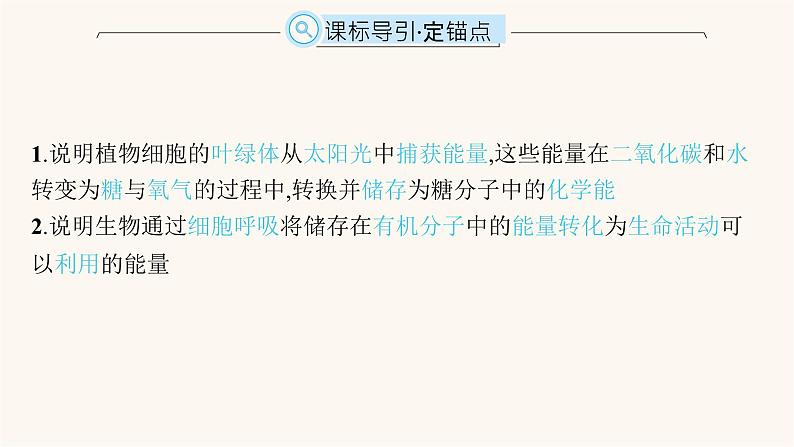 高中生物学考复习专题突破5细胞呼吸与光合作用课件第2页