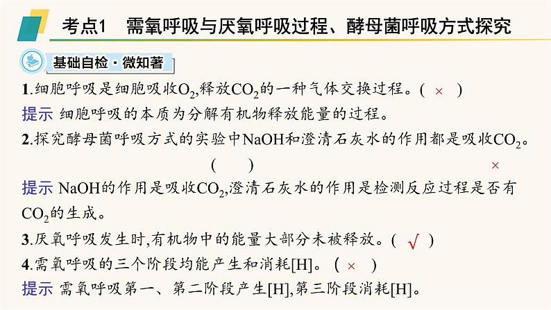 高中生物学考复习专题突破5细胞呼吸与光合作用课件第3页