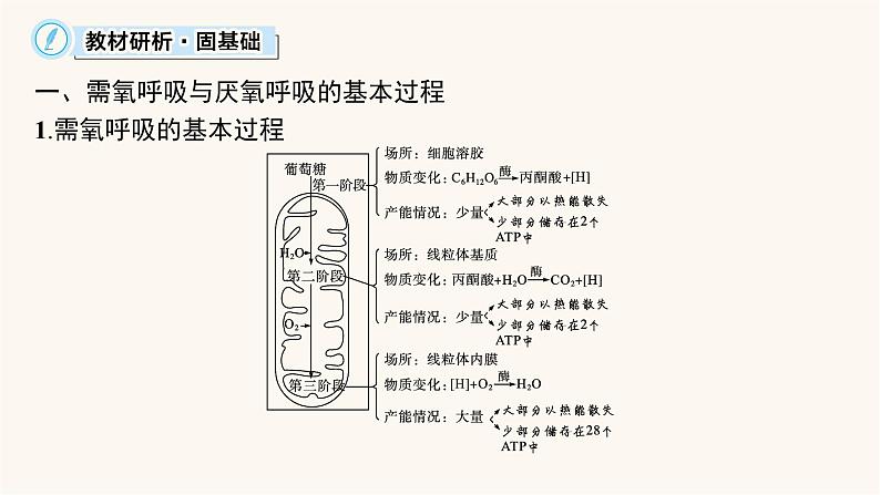 高中生物学考复习专题突破5细胞呼吸与光合作用课件第5页