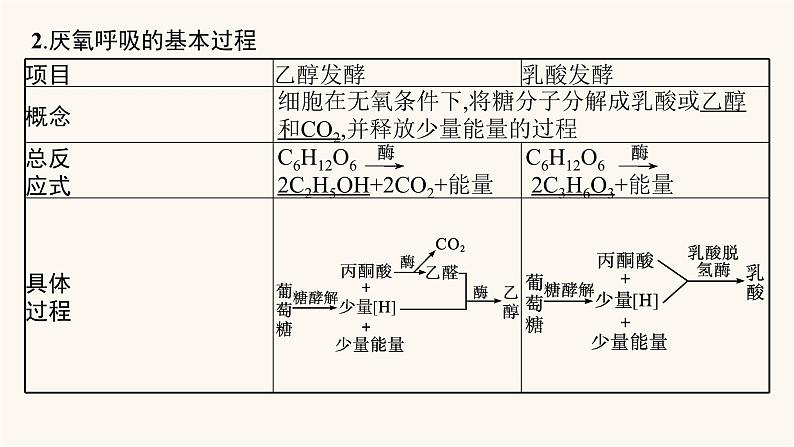 高中生物学考复习专题突破5细胞呼吸与光合作用课件第6页