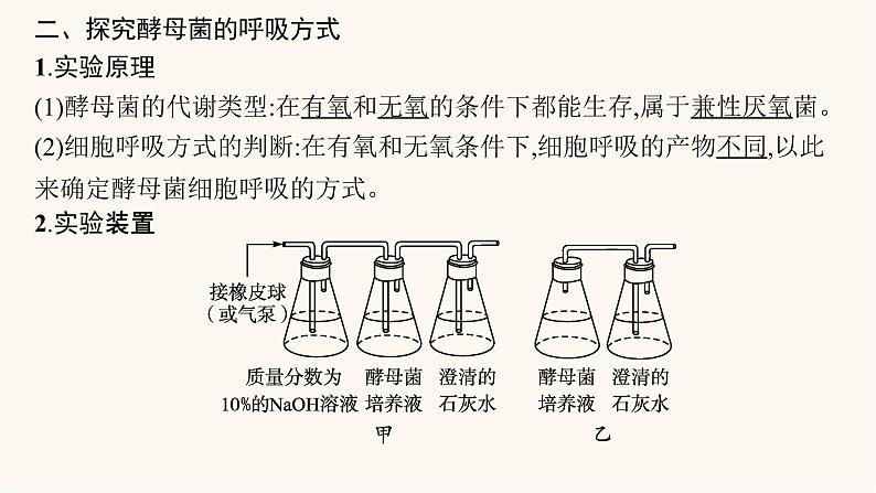 高中生物学考复习专题突破5细胞呼吸与光合作用课件第7页