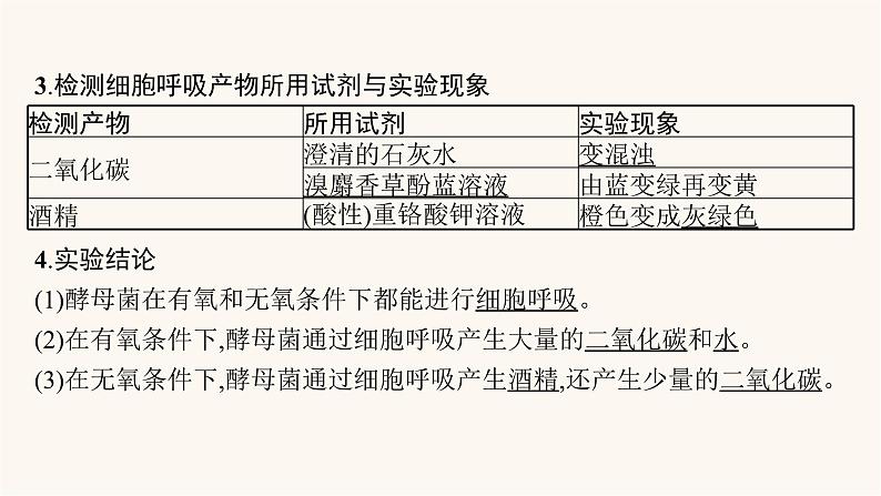 高中生物学考复习专题突破5细胞呼吸与光合作用课件第8页