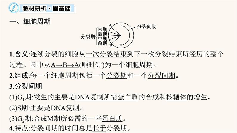 高中生物学考复习专题突破6细胞的增殖课件第5页