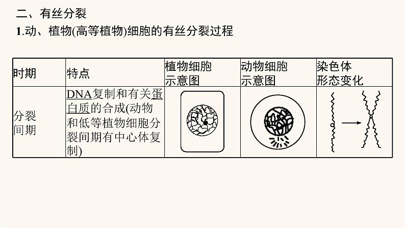 高中生物学考复习专题突破6细胞的增殖课件第6页