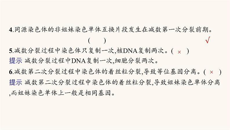 高中生物学考复习专题突破7减数分裂课件04