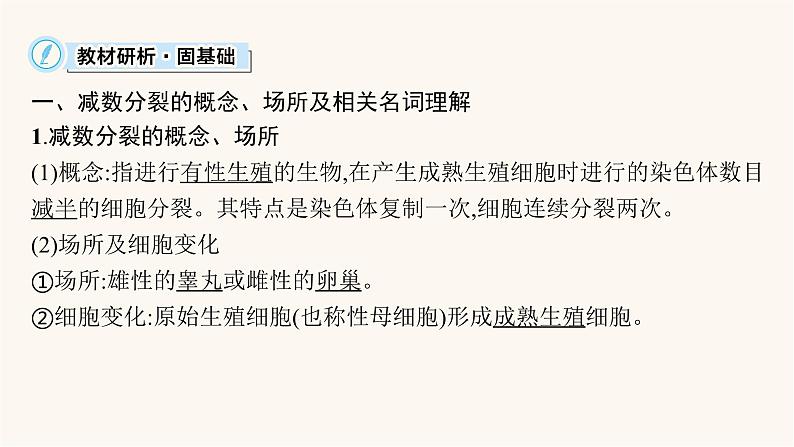 高中生物学考复习专题突破7减数分裂课件06