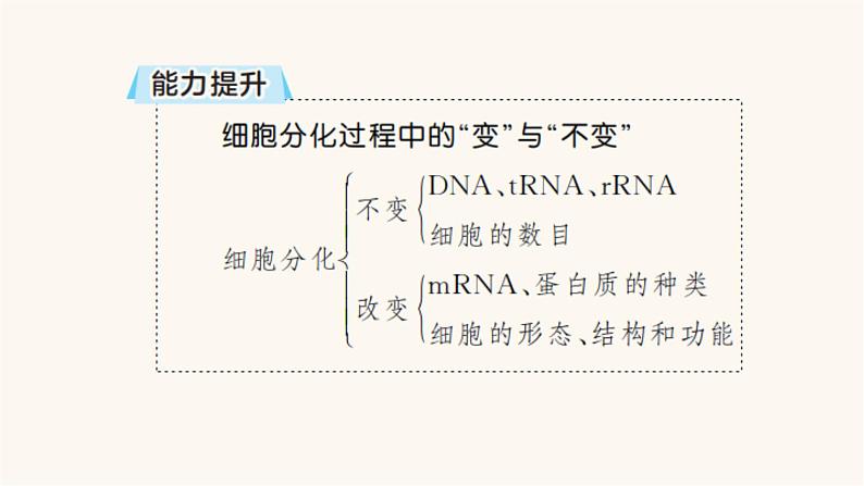 高中生物学考复习专题突破8细胞分化、癌变、衰老及凋亡课件08