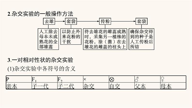 高中生物学考复习专题突破9遗传定律与伴性遗传课件06