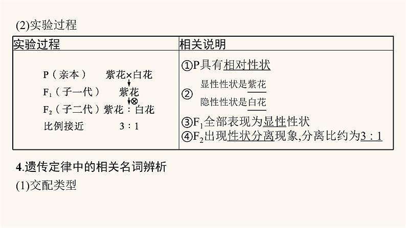 高中生物学考复习专题突破9遗传定律与伴性遗传课件07