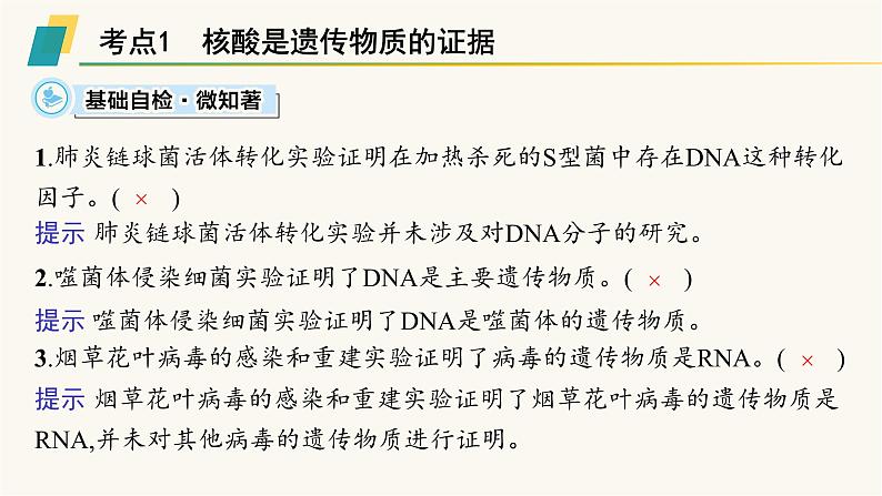 高中生物学考复习专题突破10遗传的分子基础课件03