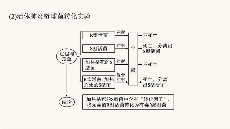 高中生物学考复习专题突破10遗传的分子基础课件07