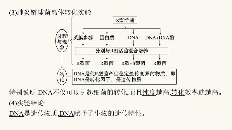 高中生物学考复习专题突破10遗传的分子基础课件08