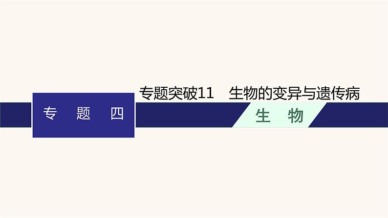 高中生物学考复习专题突破11生物的变异与遗传病课件01