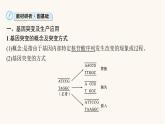 高中生物学考复习专题突破11生物的变异与遗传病课件
