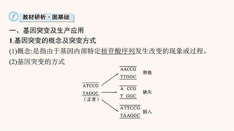 高中生物学考复习专题突破11生物的变异与遗传病课件05