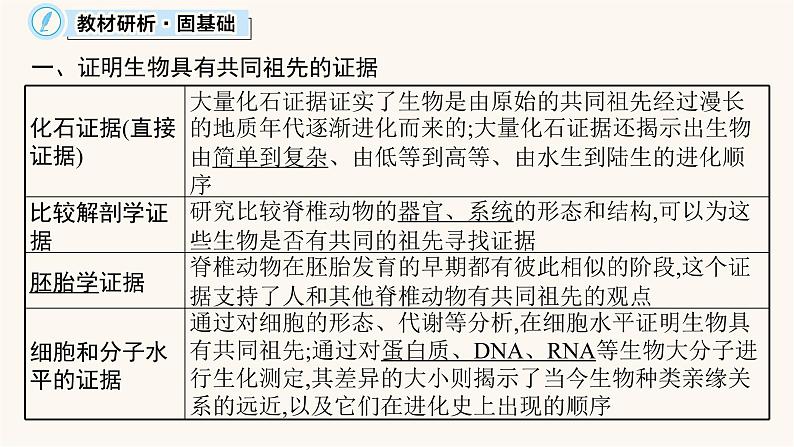 高中生物学考复习专题突破12生物的进化课件第5页