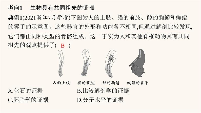 高中生物学考复习专题突破12生物的进化课件第8页