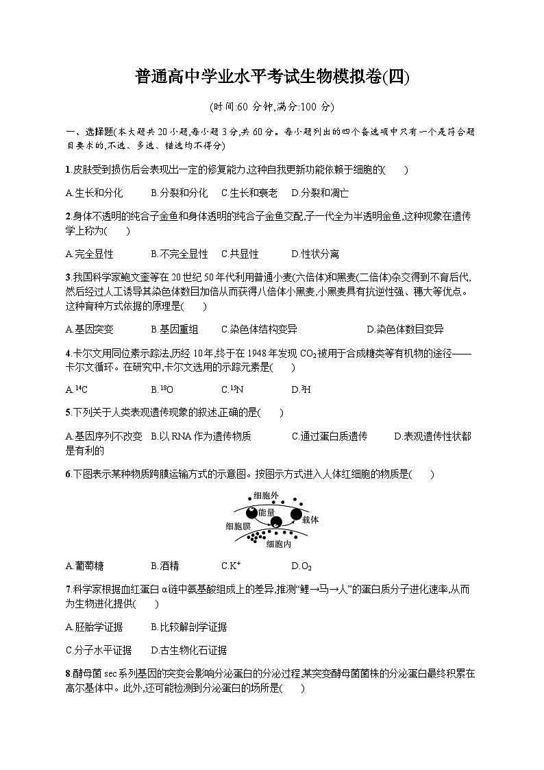 普通高中学业水平考试生物模拟卷4含答案01