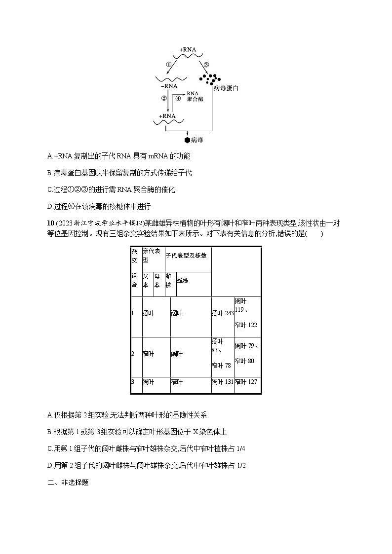 高中生物学考复习重难微专题加强练4基因表达的分子机理及遗传规律解题技巧含答案第3页