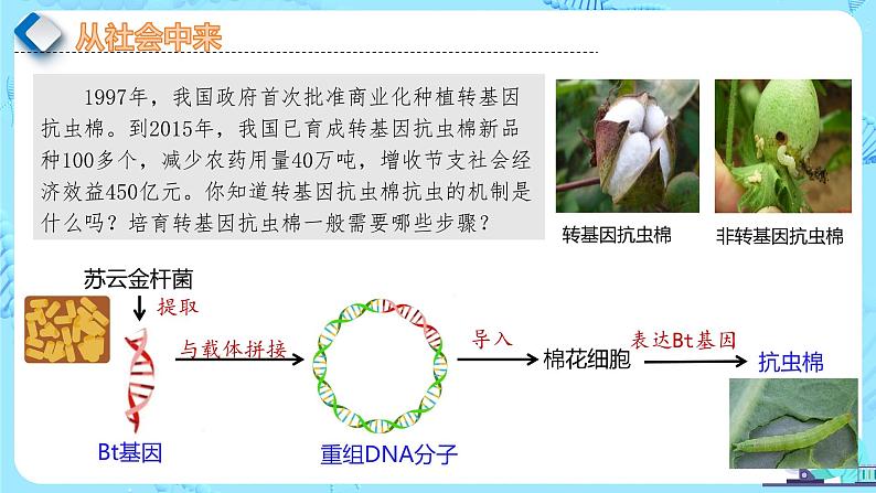 人教版）（2019）高中生物学  选择性必修三  生物技术与工程  3.2.1基因工程的步骤-目的基因的获取（第1课时）课件03