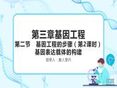 人教版）（2019）高中生物学  选择性必修三  生物技术与工程  3.2.2基因工程的步骤-构建基因表达载体（第2课时）课件