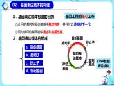 人教版）（2019）高中生物学  选择性必修三  生物技术与工程  3.2.2基因工程的步骤-构建基因表达载体（第2课时）课件