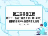 人教版）（2019）高中生物学  选择性必修三  生物技术与工程  3.2.3基因工程的步骤-目的基因的导入及检测（第3课时）课件