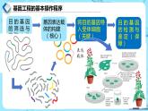 人教版）（2019）高中生物学  选择性必修三  生物技术与工程  3.2.3基因工程的步骤-目的基因的导入及检测（第3课时）课件