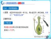 人教版）（2019）高中生物学  选择性必修三  生物技术与工程  3.2.3基因工程的步骤-目的基因的导入及检测（第3课时）课件