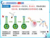 人教版）（2019）高中生物学  选择性必修三  生物技术与工程  3.2.3基因工程的步骤-目的基因的导入及检测（第3课时）课件