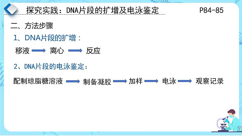 人教版）（2019）高中生物学  选择性必修三  生物技术与工程  3.2.4基因工程的步骤-DNA片段的扩增及电泳鉴定（第4课时）课件04