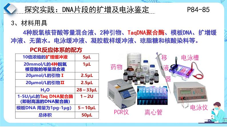 人教版）（2019）高中生物学  选择性必修三  生物技术与工程  3.2.4基因工程的步骤-DNA片段的扩增及电泳鉴定（第4课时）课件05