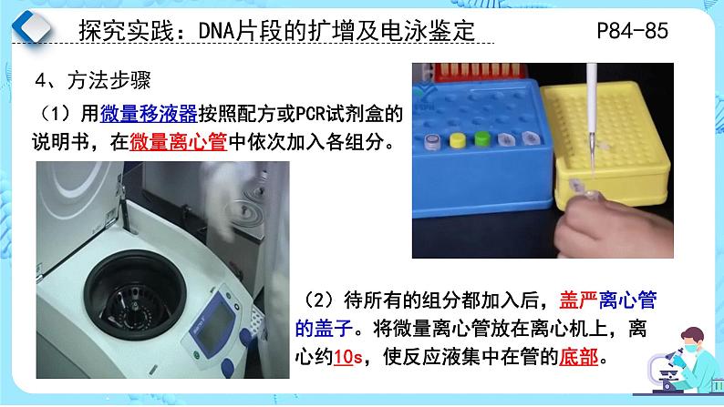 人教版）（2019）高中生物学  选择性必修三  生物技术与工程  3.2.4基因工程的步骤-DNA片段的扩增及电泳鉴定（第4课时）课件06