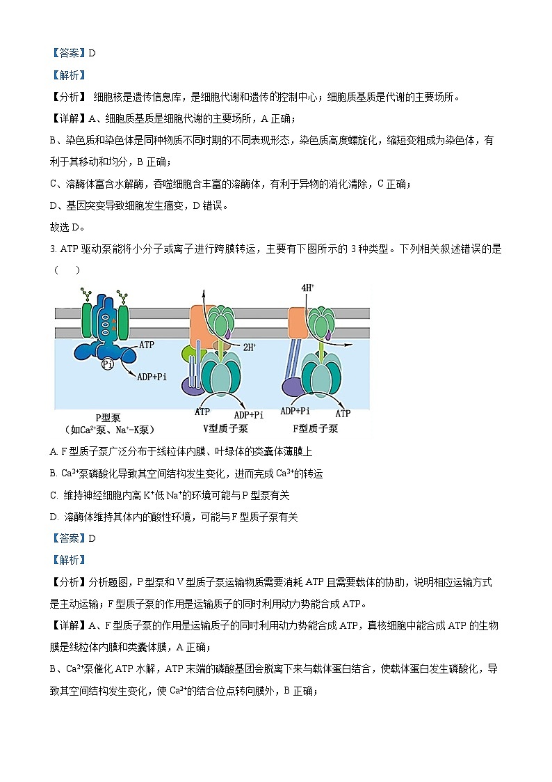 56，2024届湖南省永州市高三第二次模拟生物试题第2页