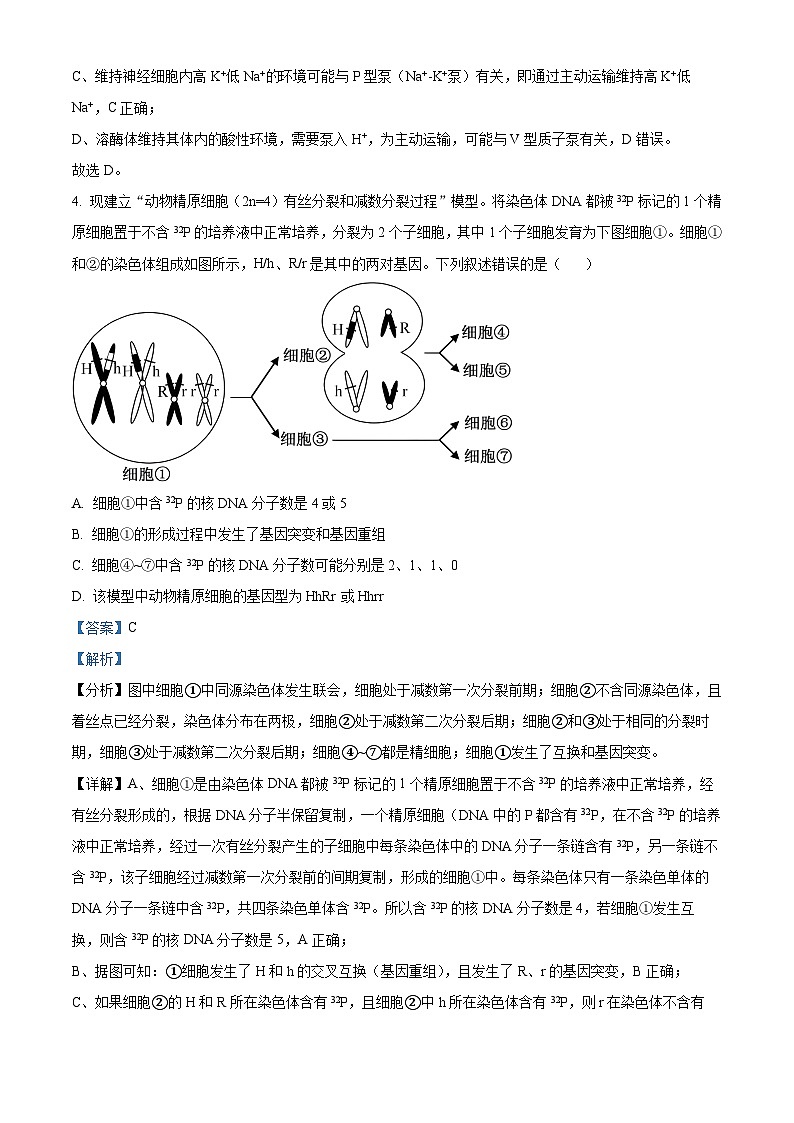 56，2024届湖南省永州市高三第二次模拟生物试题第3页