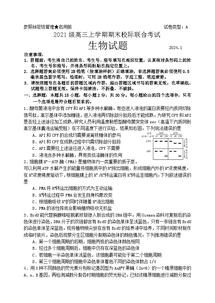 57，山东省日照市2023-2024学年高三上学期生物期末考试试题第1页