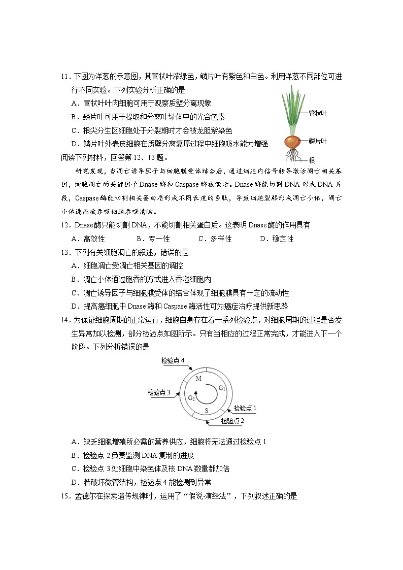 62，浙江省台州市2023-2024学年高一上学期期末考试生物试题03