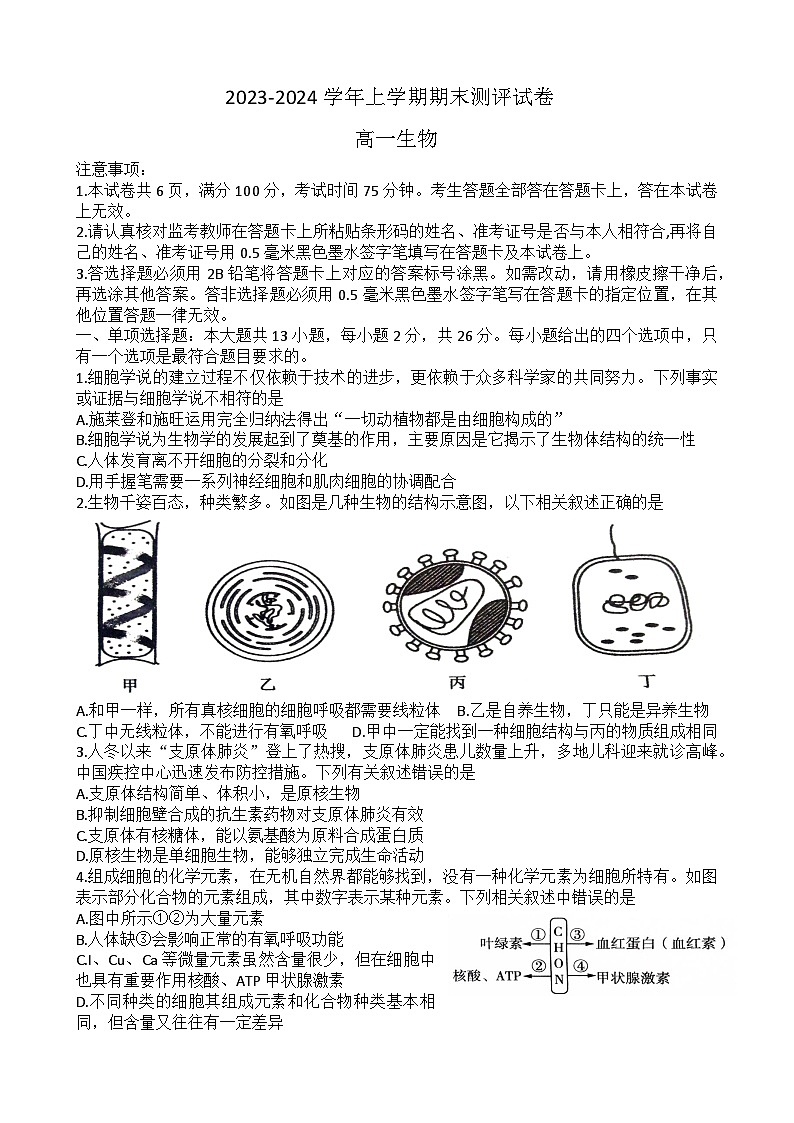 68，河南省郑州市中牟县2023-2024学年高一上学期期末联考生物试题01