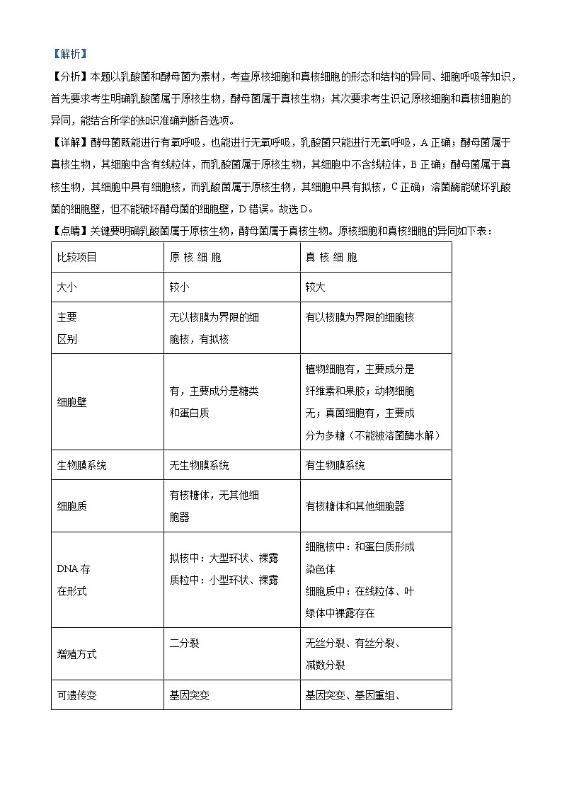 71，宁夏回族自治州石嘴山市三中2023-2024高三上学期月考生物试题02