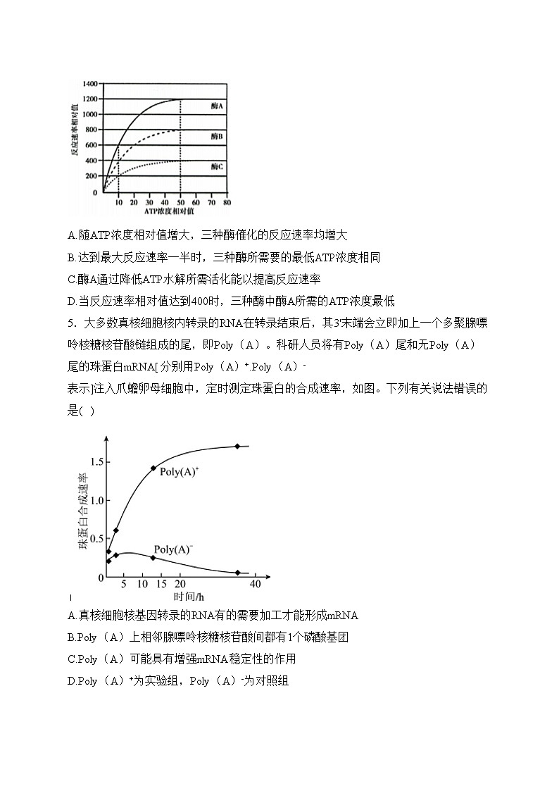 阜新市第二高级中学2022-2023学年高二下学期期中考试生物试卷(含答案)02