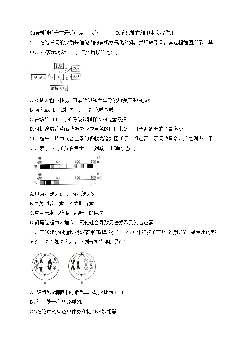 河北省承德市2023-2024学年高一上学期期末考试生物试卷(含答案)03