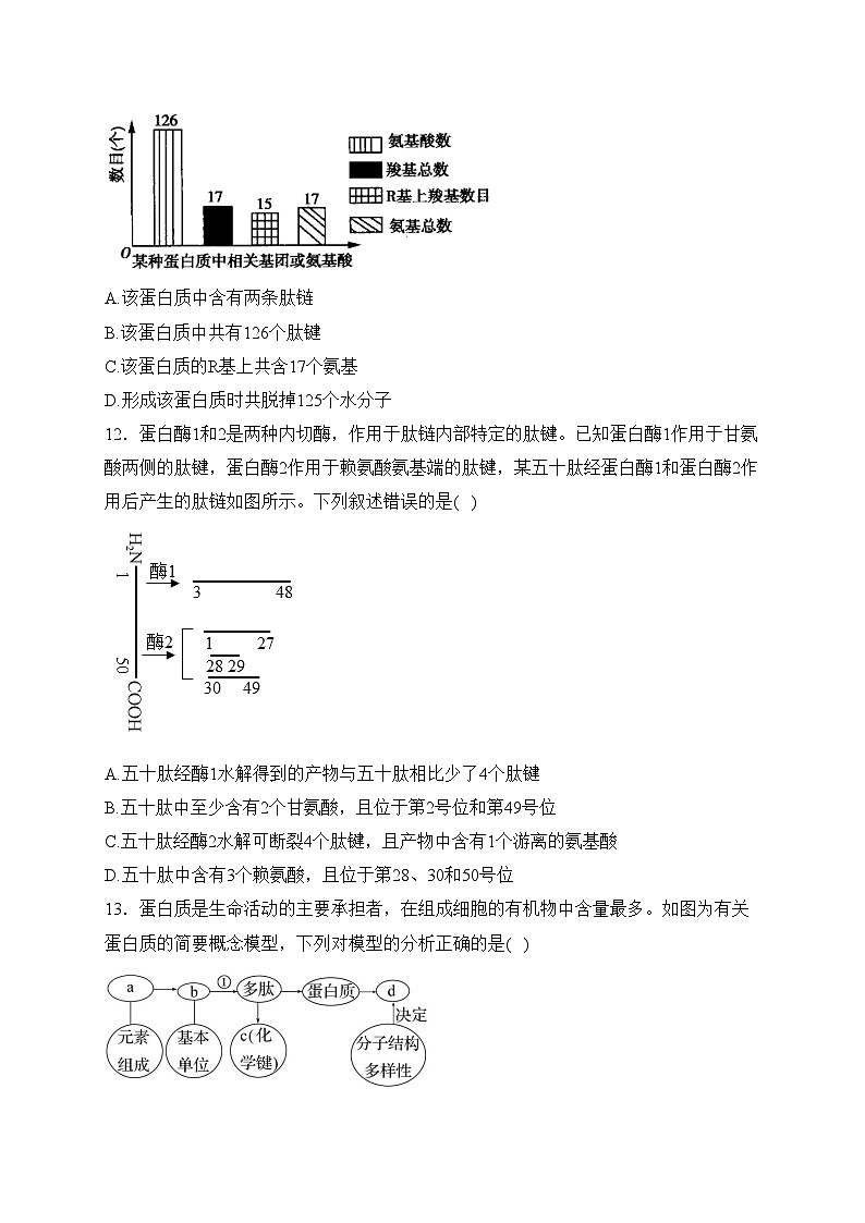 湖北省十堰市示范高中2023-2024学年高一上学期11月联考生物试卷(含答案)第3页