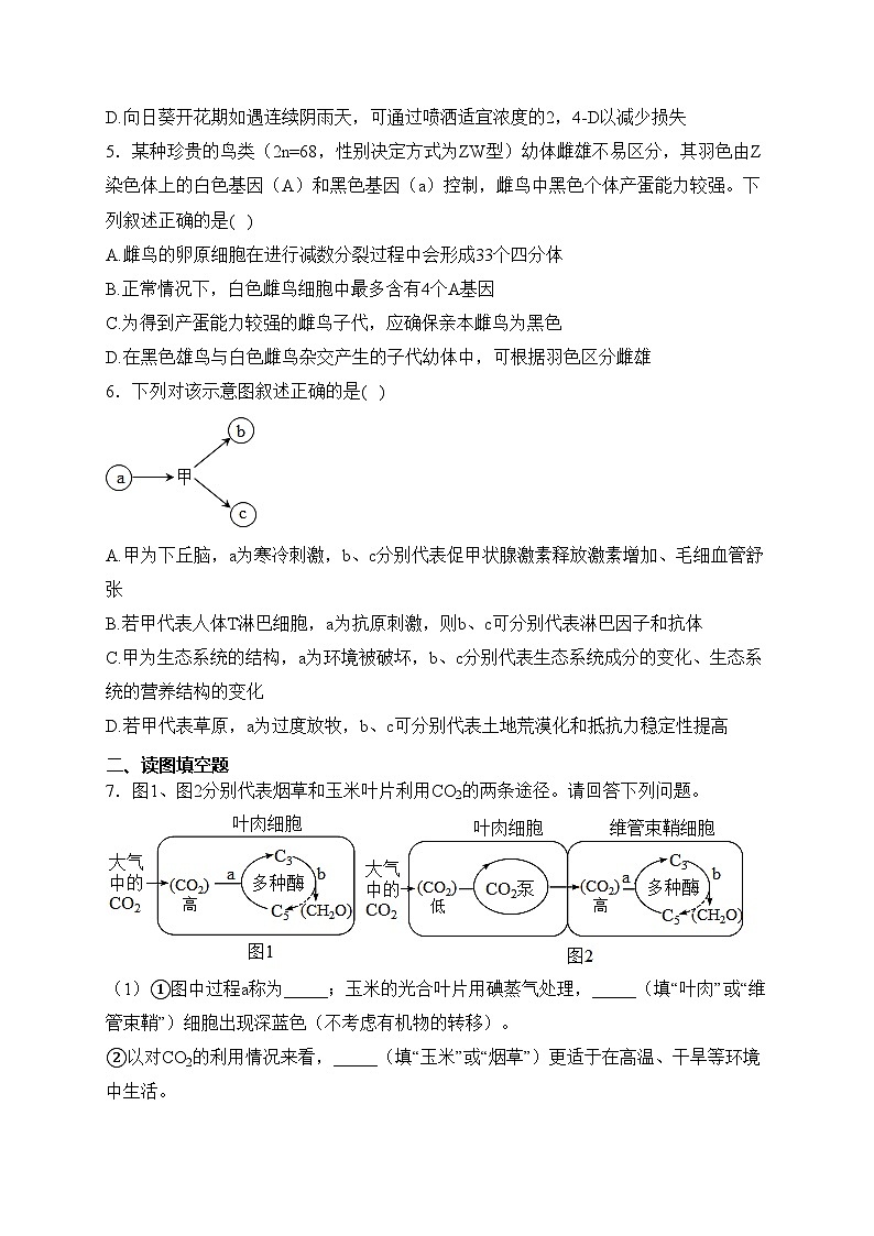 四川省绵阳南山中学2023届高三下学期3月月考生物试卷(含答案)第2页